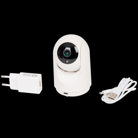 Caméra de surveillance pivotante